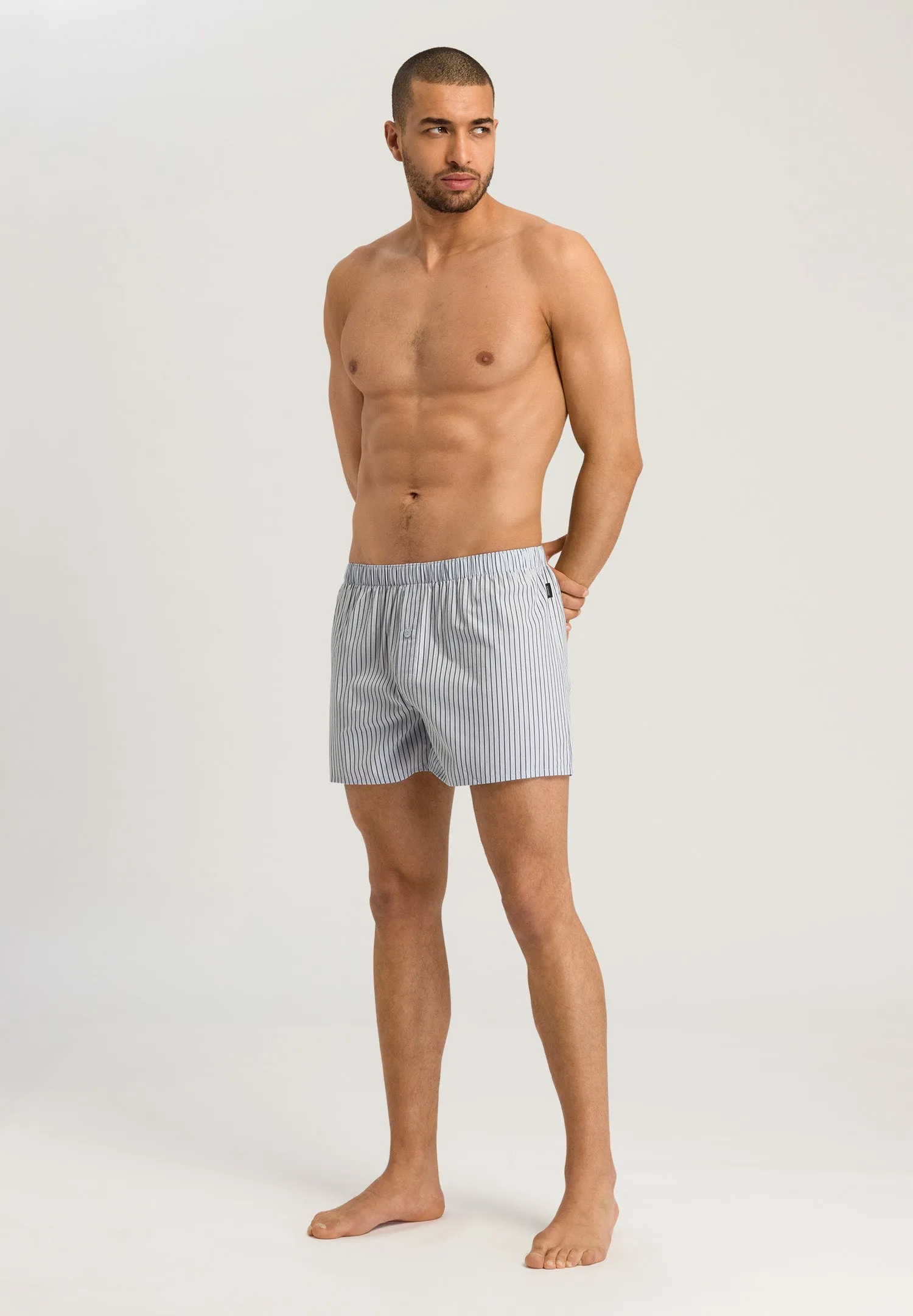Fancy Woven Boxer | Light Grey Stripe 74013-1249