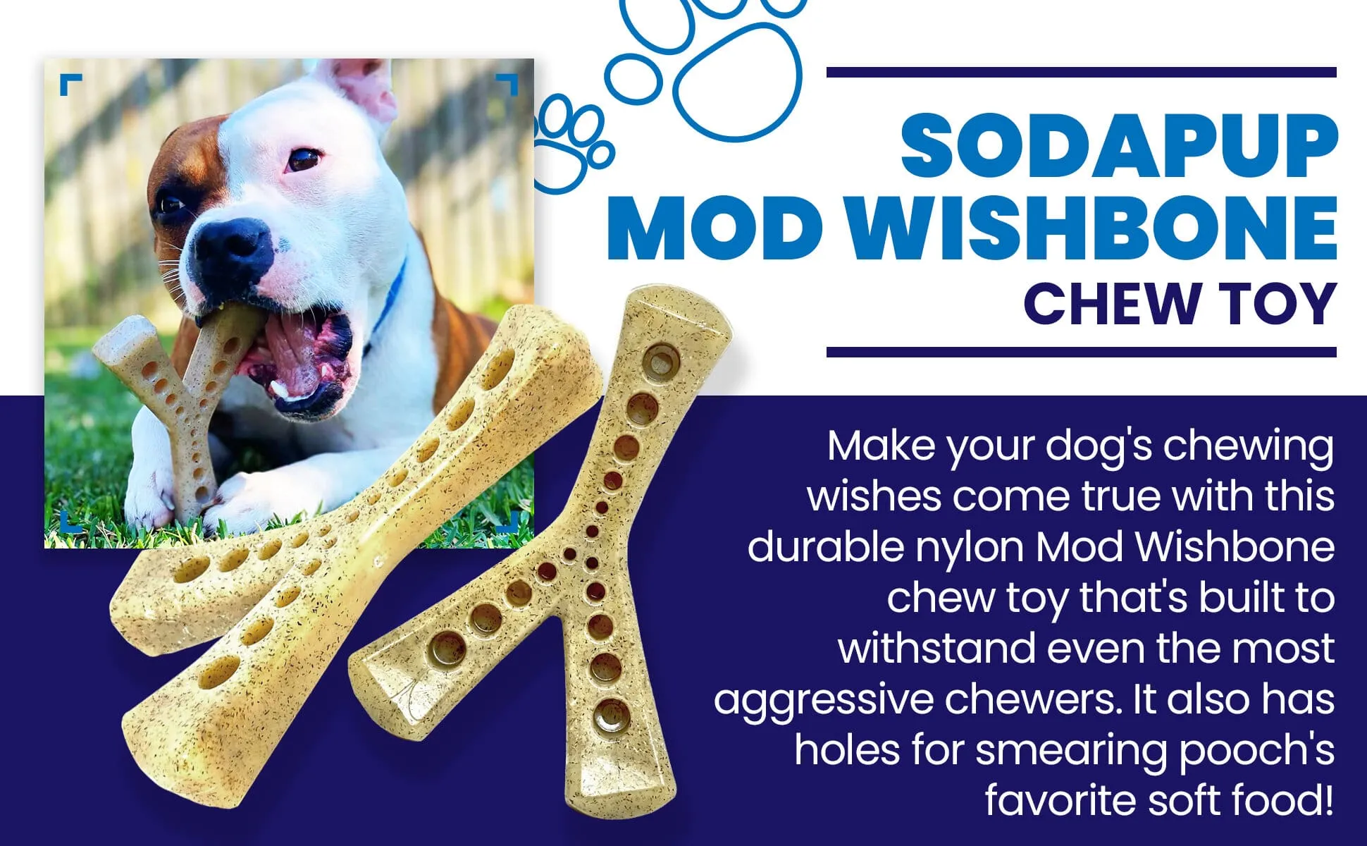 MOD Wishbone eChew Ultra Durable Nylon Dog Chew Toy